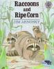 Raccoons_and_ripe_corn