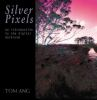 Silver_pixels