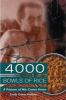 4000_bowls_of_rice