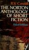 The_Norton_anthology_of_short_fiction