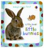 Little_book_of_little_bunnies
