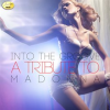 Into_the_Groove__A_Tribute_to_Madonna_