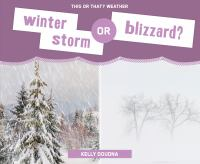 Winter_storm_or_blizzard_