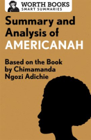 Summary_and_Analysis_of_Americanah