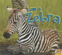 I_am_a_zebra