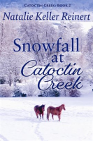Snowfall_at_Catoctin_Creek