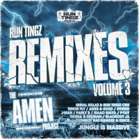 Run_Tingz_Remixes__Vol__3_-_The_Amen_Project