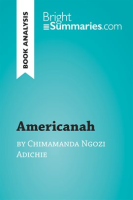Americanah_by_Chimamanda_Ngozi_Adichie__Book_Analysis_
