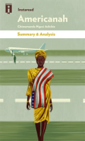 Summary_of_Americanah_by_Chimamanda_Ngozi